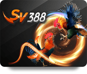 Gclub คาสิโน 24: ความบันเทิงเต็มรูปแบบตลอด 24 ชั่วโมง